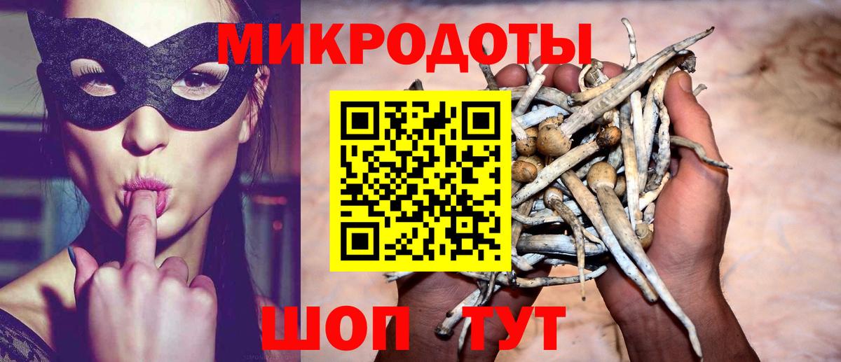 Псилоцибиновые грибы мухоморы Архангельск