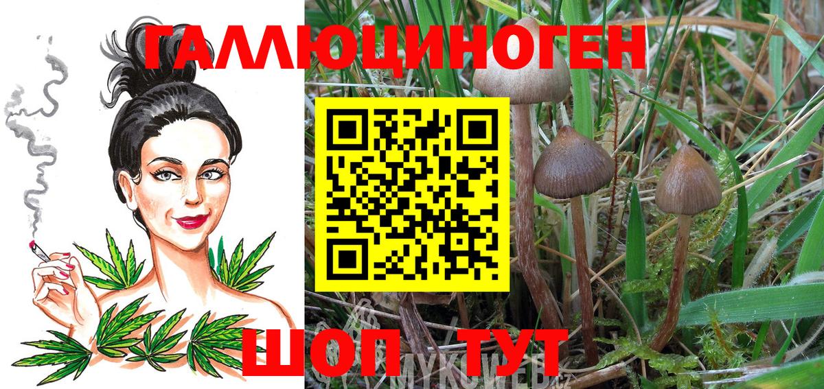 купить наркотики сайты  Галлюциногенные грибы мицелий  Вход с VPN  Архангельск  Галлюциногенные грибы GOLDEN TEACHER 
